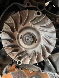 Contropuleggia Malossi