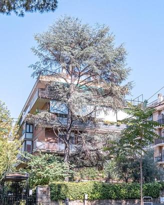 4 LOCALI A ROMA