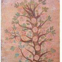 Chitignano , Arezzo - Albero Genealogico Fratini