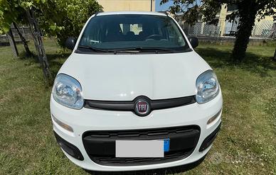 Panda 1.2 pop benzina