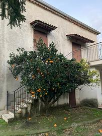 Masseria Via selvotta s.n.c
