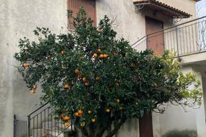 Masseria Via selvotta s.n.c