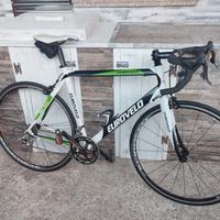 bicicletta da corsa 