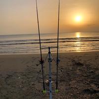 Canne da pesca + mulinelli