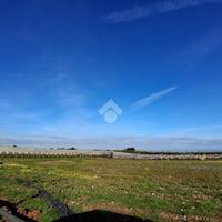 TER. AGRICOLO A MOLA DI BARI