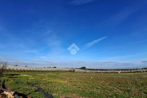 TER. AGRICOLO A MOLA DI BARI