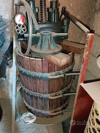 torchio idraulico più pigiatrice 
