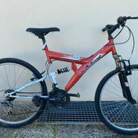 Bicicletta Mountain Bike