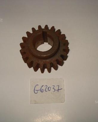 Arcore 125-150 Gilera 124 5v-150 ingranaggio 5v