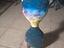 Immagine 1
