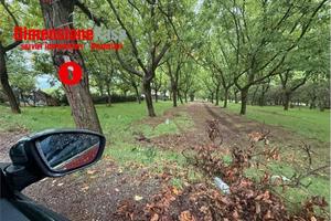 Terreno di 6700 m² a Cicciano
