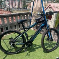 Ebike Bicicletta Elettrica