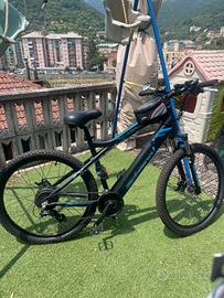 Ebike Bicicletta Elettrica