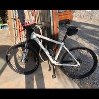 Mtb carver 26 immacolata