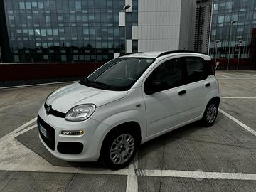 Fiat panda benzina euro 6 uniproprietario reale