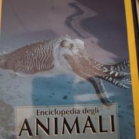 Dvd enciclopedia degli animali 