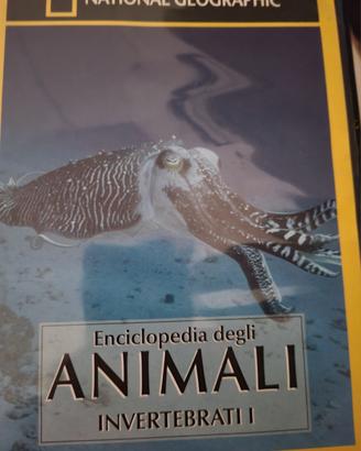 Dvd enciclopedia degli animali 