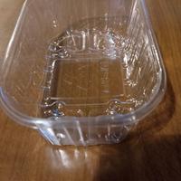 vaschetta per piccoli frutti 