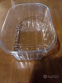 vaschetta per piccoli frutti 