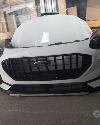 Musata ford fiesta active 2024