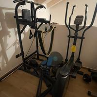 Palestra