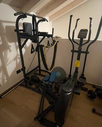 Palestra