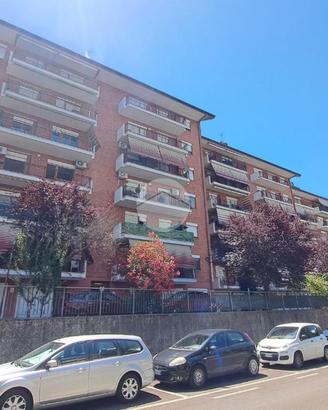 4 LOCALI A FROSINONE
