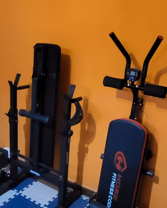 Palestra 