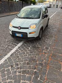 Fiat Panda 2024