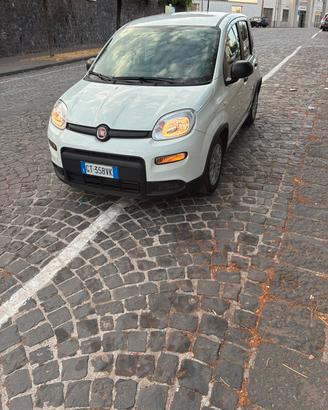 Fiat Panda 2024