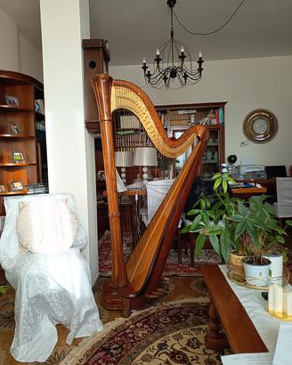  Arpa Salvi 47 corde