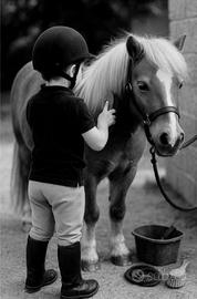 Shetland pony equitazione per bambini