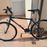 bici Mountain bike 