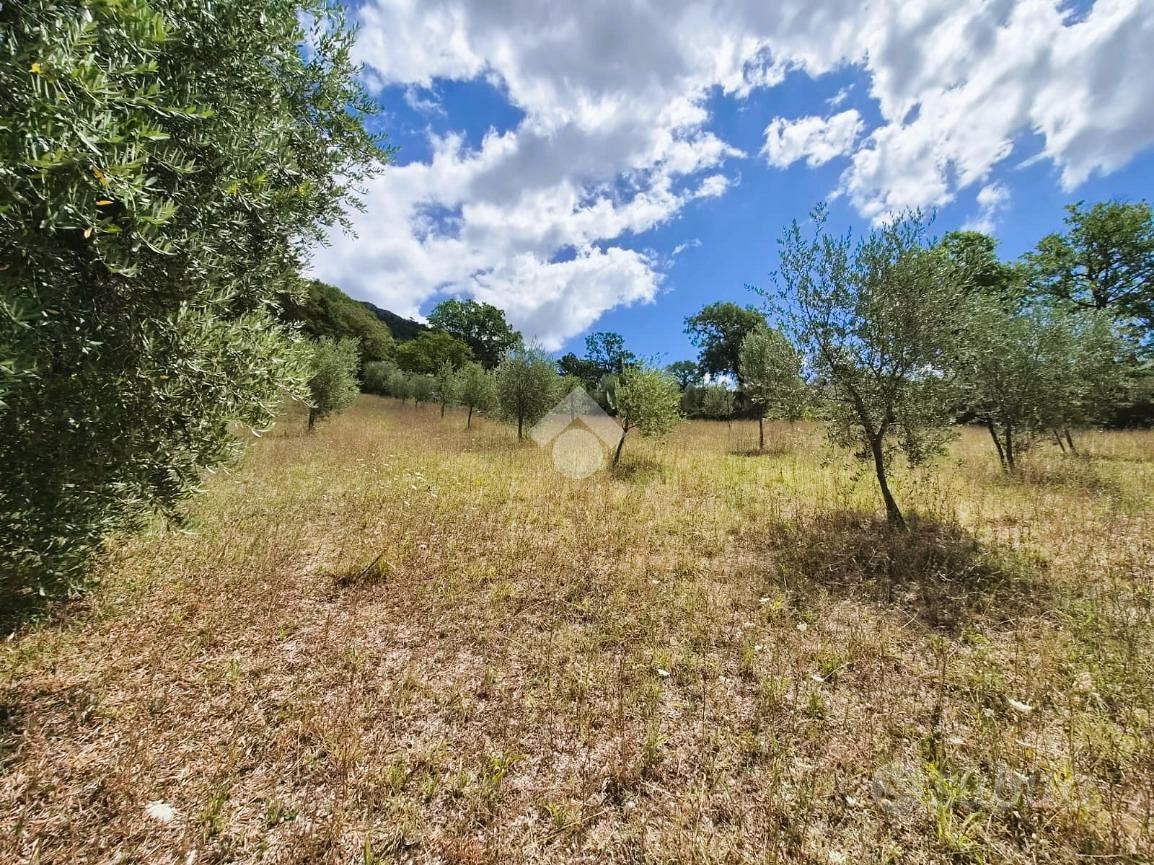 TER. AGRICOLO A GUBBIO - Vista 2