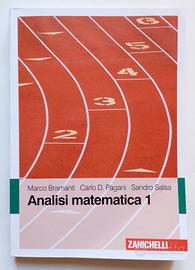 Bramanti- Analisi matematica 1 - Zanichelli 