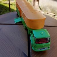 Articolato corgi major