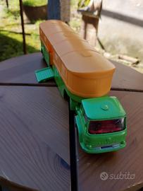 Articolato corgi major