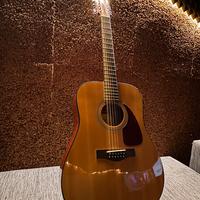 Chitarra acustica Fender 12 corde