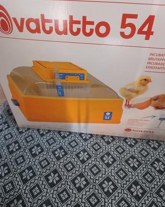 incubatrice 