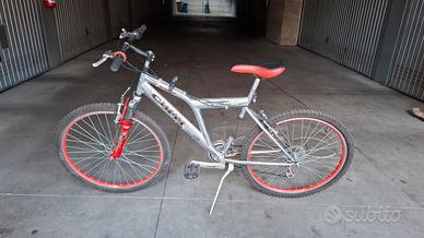 bicicletta 
