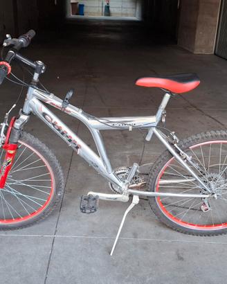 bicicletta 