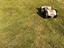 Immagine 4