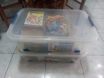 Topolino