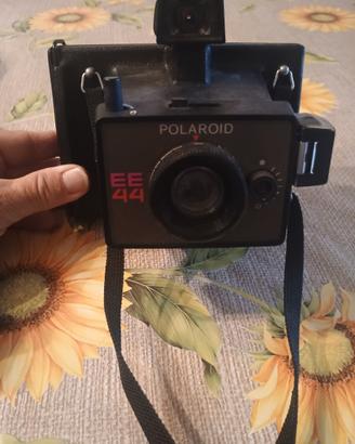 polaroid 