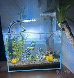Acquario completo con filtro, luce LED e accessori