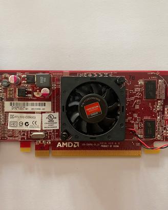 Amd radeon