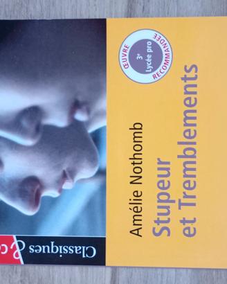"Stupeur et Tremblements" in francese