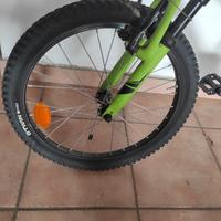 Bici MTB