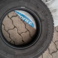 michelin agilis alpine