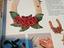 Immagine 5